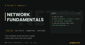 Network Fundamentals pillar - CCNA domain 1 complete guide with real lab output