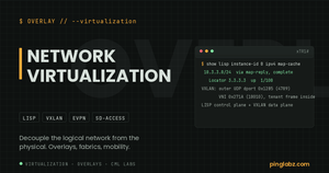 Network virtualization cluster: live LISP map-cache and a real byte-level VXLAN encapsulation