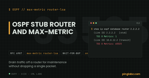OSPF max-metric router-lsa - Router LSA showing 65535 on transit links and metric 1 on the stub link