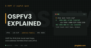 Patch Panel feature image: OSPFv3 explained, IPv6 routing table with link-local next hops