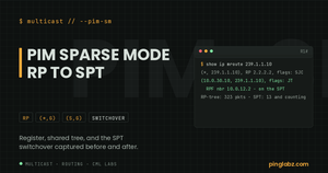PIM sparse mode - feature image with real mroute state showing the SPT switchover JT flags