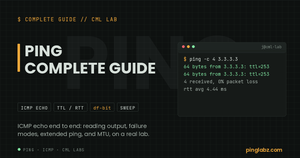 Ping complete guide, Patch Panel terminal card with real ping output