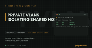 Private VLAN association with isolated and community secondaries