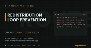 Patch Panel feature image: redistribution loop prevention with route tags, showing a live traceroute loop and the tag fix