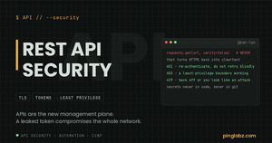 REST API security: verify=False red flag and the 401/403/429 response codes