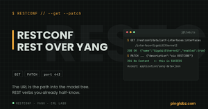 RESTCONF GET and PATCH against ietf-interfaces with a 204 No Content success