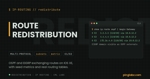 Patch Panel feature image: route redistribution on Cisco IOS XE with real O E2 routing table output
