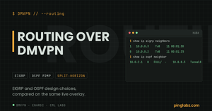 Routing over DMVPN feature image with EIGRP and OSPF neighbor output