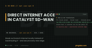 Catalyst SD-WAN DIA - a NAT translation showing branch internet breakout via the local circuit