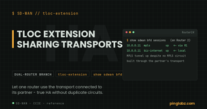 Catalyst SD-WAN TLOC extension - a router with an MPLS BFD session despite no local MPLS circuit