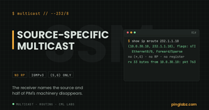 Source-specific multicast SSM - feature image with real (S,G) sTI state and no RP