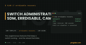 Errdisable recovery causes and a recovered port on Cisco IOS XE