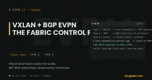 BGP EVPN route types 2, 3 and 5 and the config that turns off flood-and-learn
